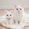 Custom Crochet Pet Plush Doll