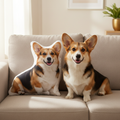 Corgi dog sitting next to its custom shaped pillow