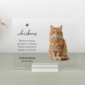Custom acrylic memorial plaque for orange tabby cat